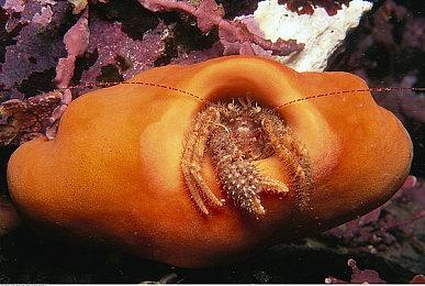 《星空》创意总监：Xbox独占有益于开发