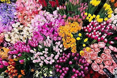 科雷万物! 科雷节开始啦！ 